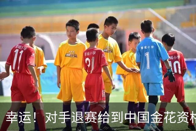 幸运！对手退赛给到中国金花资格，王欣瑜晋级WTA500东京站正赛