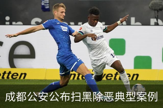 成都公安公布扫黑除恶典型案例