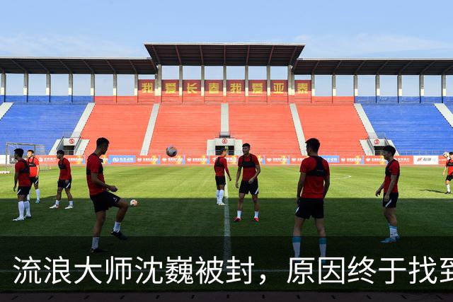 流浪大师沈巍被封，原因终于找到了