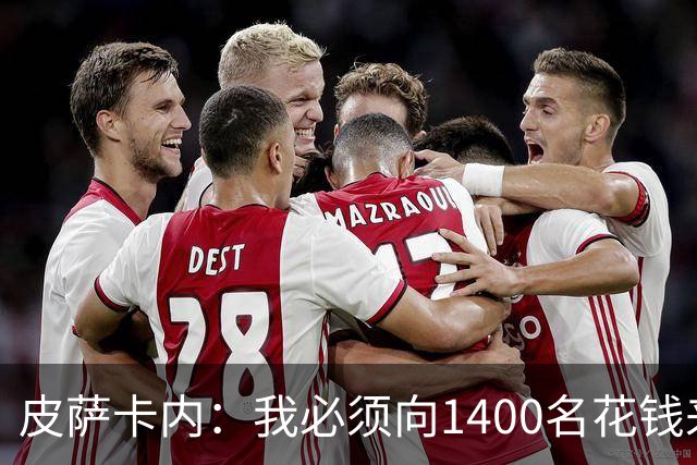 皮萨卡内：我必须向1400名花钱来看这样一场灾难的人道歉