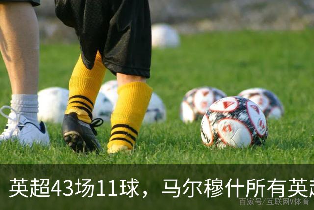 英超43场11球，马尔穆什所有英超进球都在主场打进