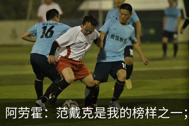 阿劳霍：范戴克是我的榜样之一；儿时唯一的偶像是小罗