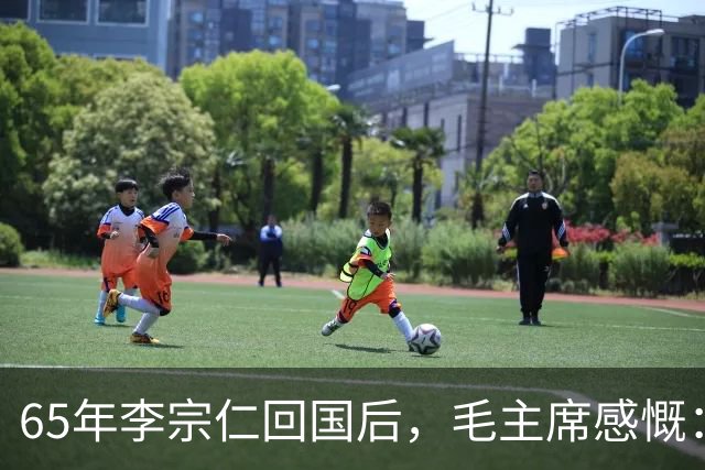 65年李宗仁回国后，毛主席感慨：如果蒋介石回来，我一定去迎接他